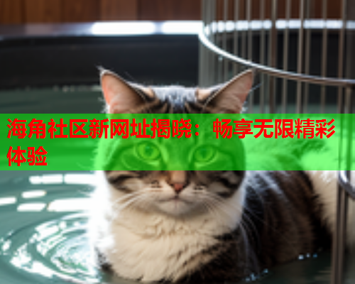 海角社区新网址揭晓：畅享无限精彩体验  第1张