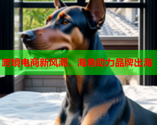 跨境电商新风潮，海角助力品牌出海  第2张